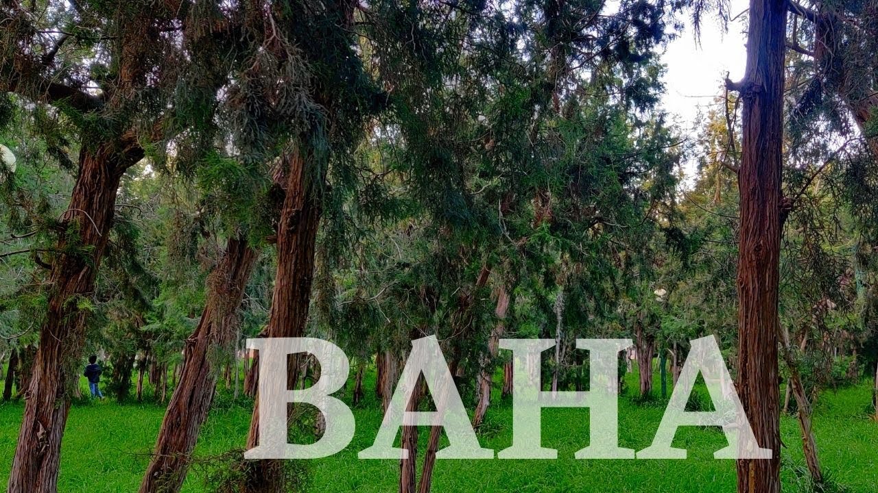 Baha || Exploring Nature || Ragdan Forest Park || Prince Hussam Park || Khairah Forest