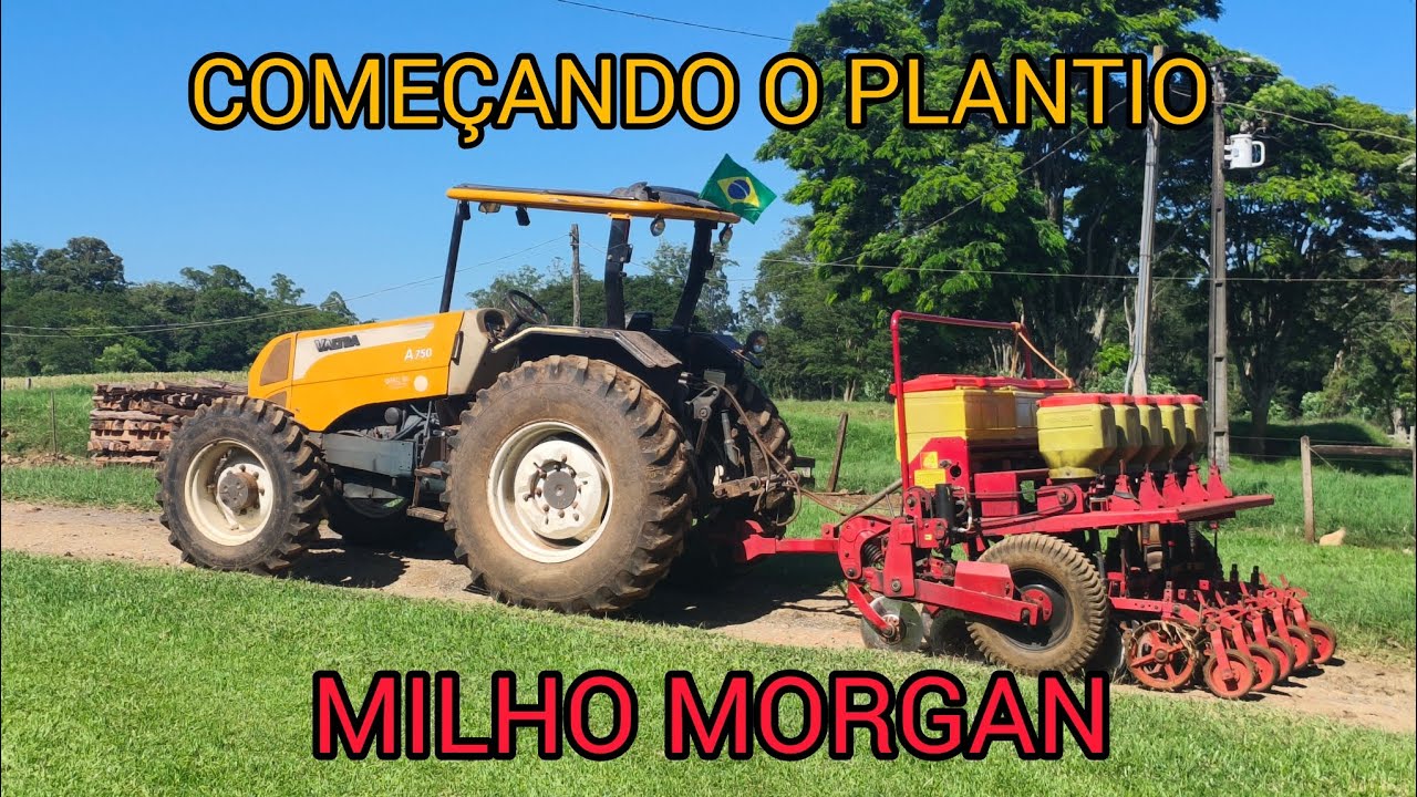 DIA DE COMEÇAR O PLANTIO DE MILHO MORGAN SAFRINHA 2026