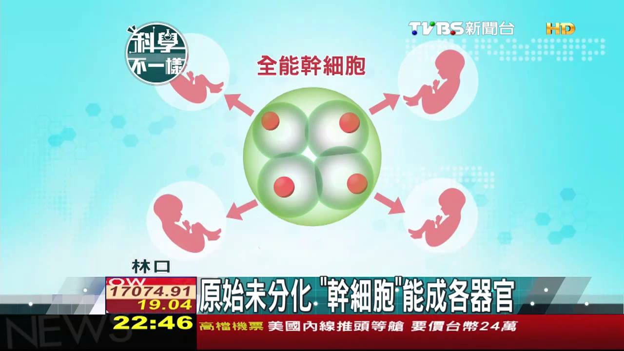 【科學不一樣】原始未分化　「幹細胞」能成各器官