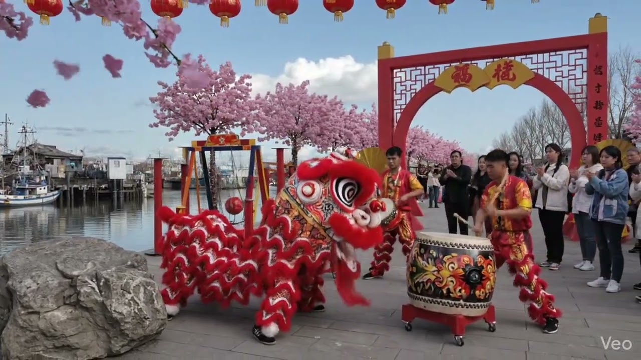 Chinese New Year Lion Dance