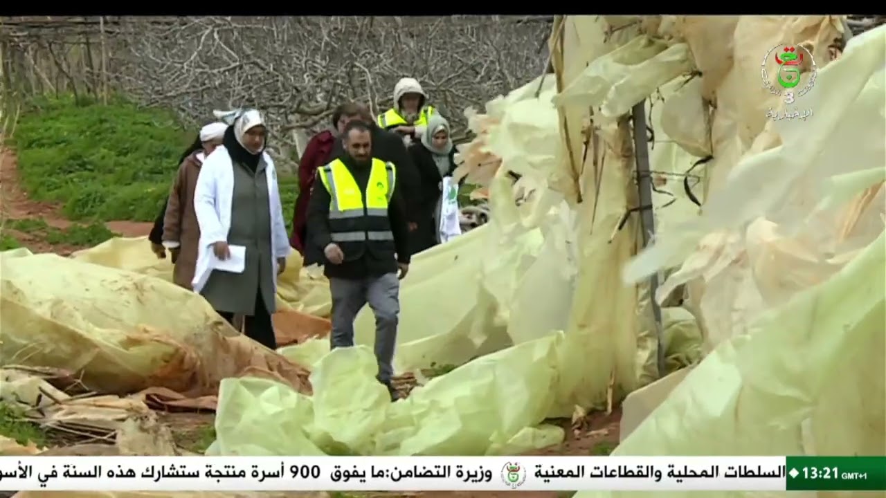 وهران - دعم فلاحي | الصندوق الوطني للتعاون الفلاحي.. مرافقة وتأمين