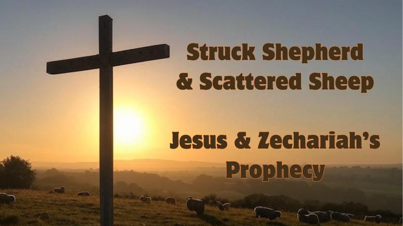 Struck Shepherd & Scattered Sheep: Jesus & Zechariah's Prophecy