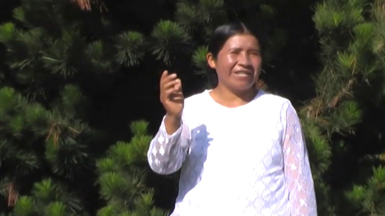 Nunca desmayes ♫ Martha Jara ♪ Conjunto instrumental ♪ Solista