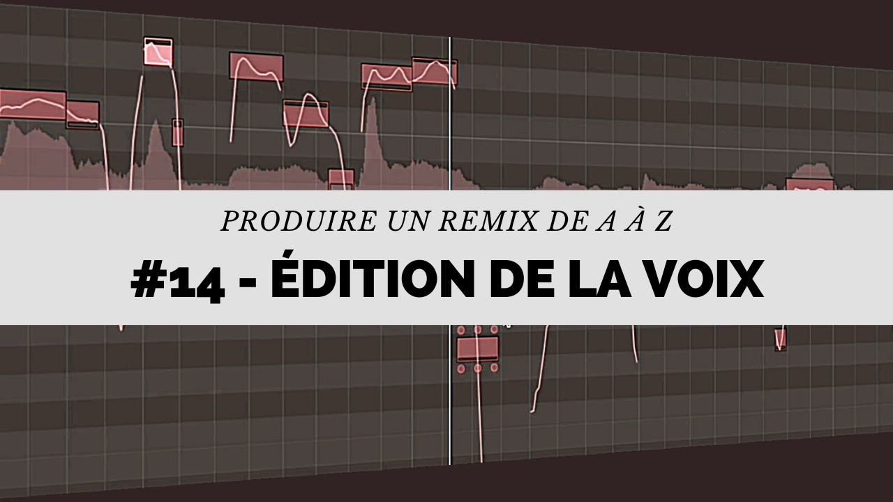 Produire un remix de A à Z -#14- Retouche de la voix (FlexTime, Pitch - Corriger les fausses notes)