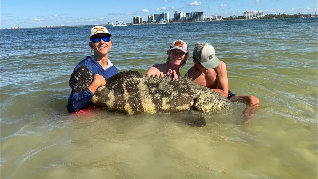 BIG GROUPER on hand line