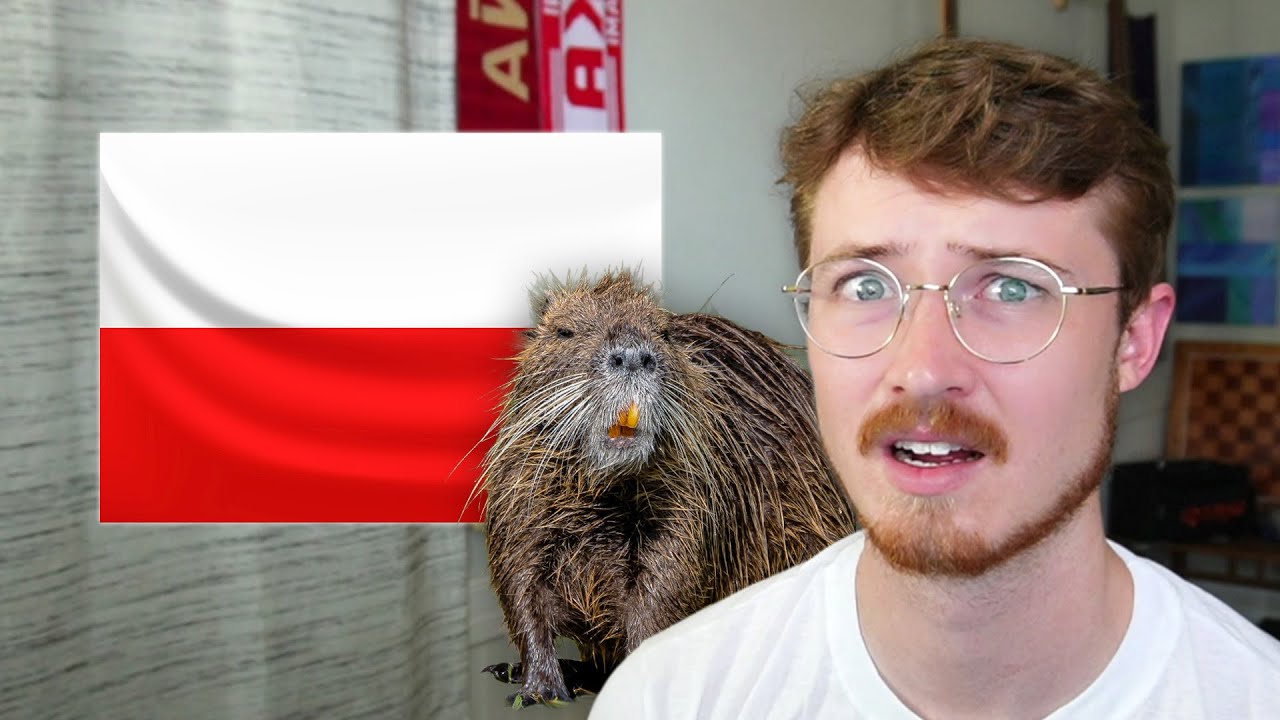 Learning Polish Animals  / Reviewing Polish Vocab