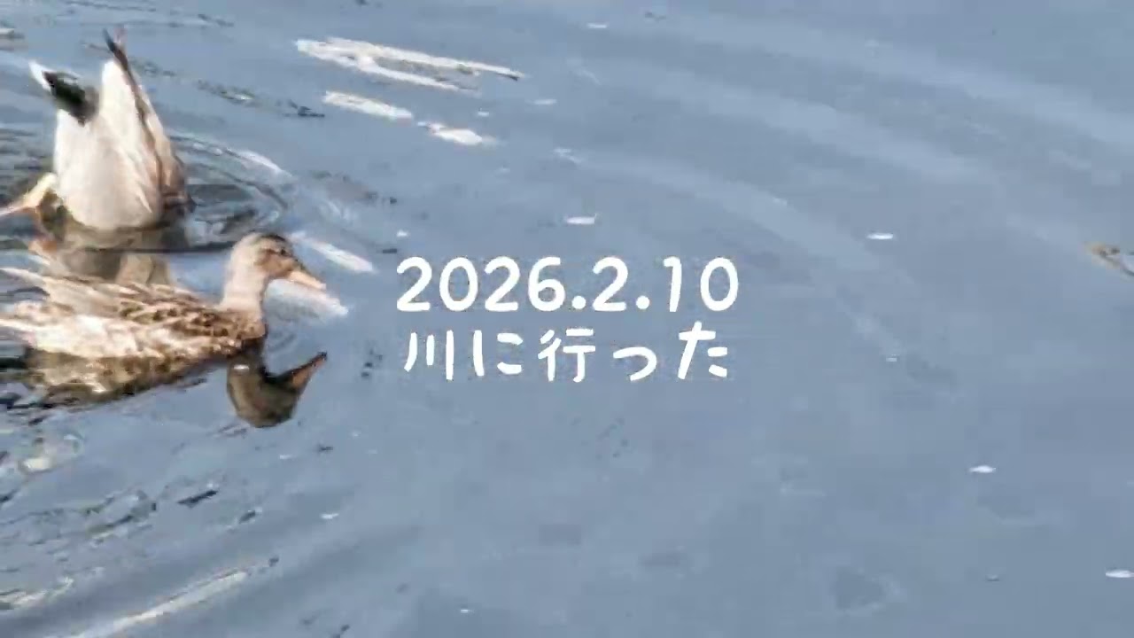 2026.2.9~10 全てが変わる日