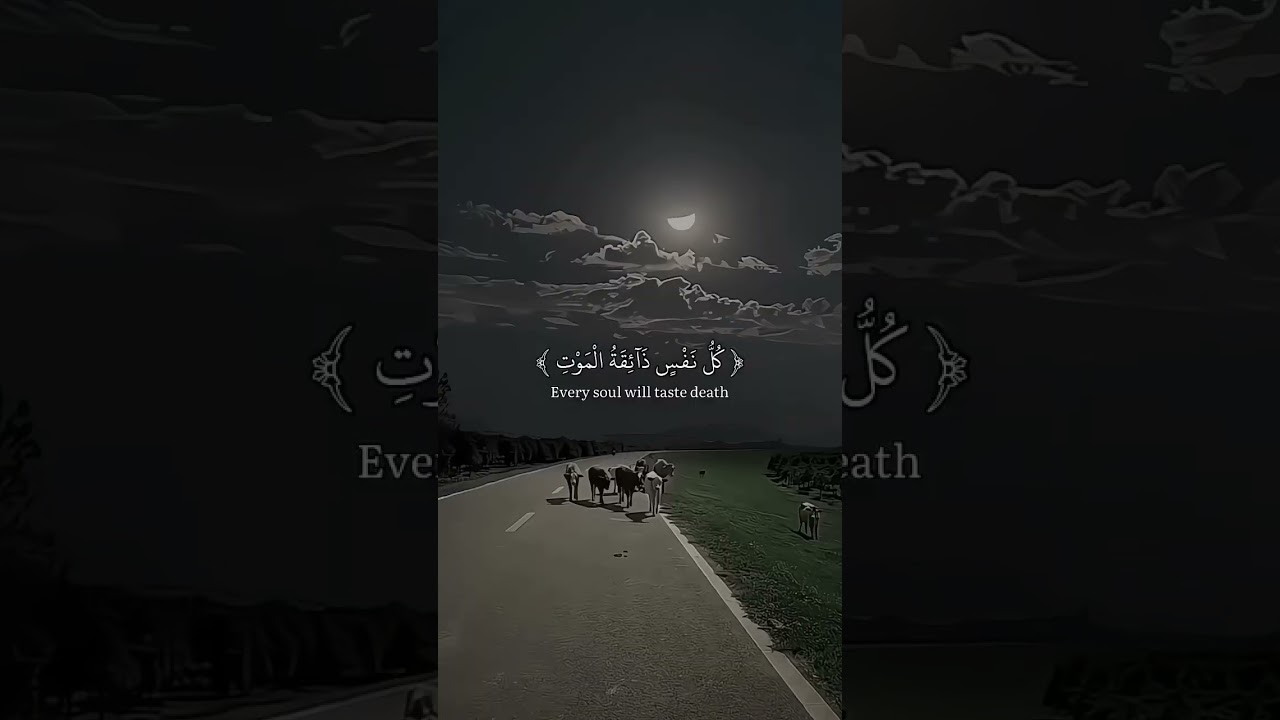 A most viral recitation of the world #beautifulrecitation #viralrecitation #peacefulvoice #peacefull