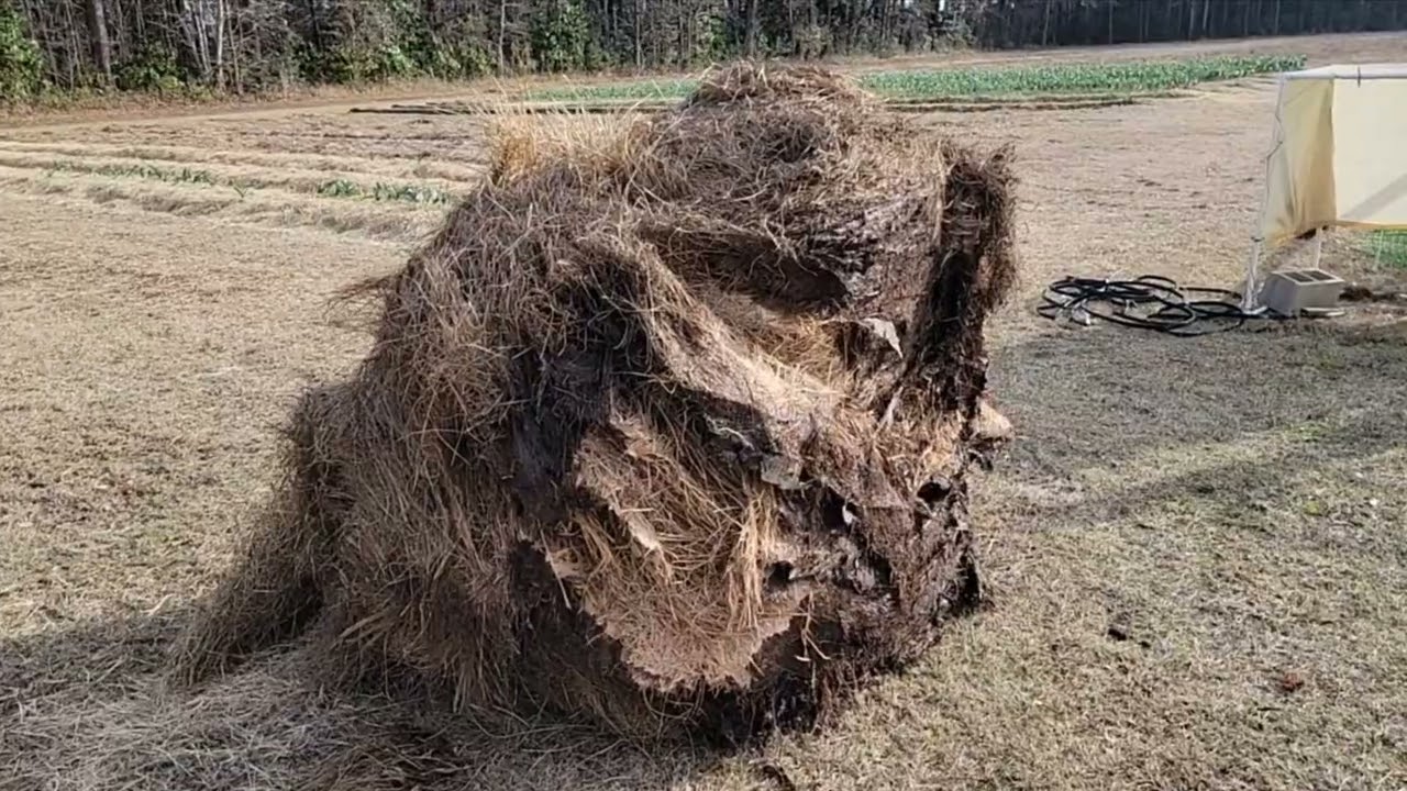 Moving round bales of hay without a hay spear