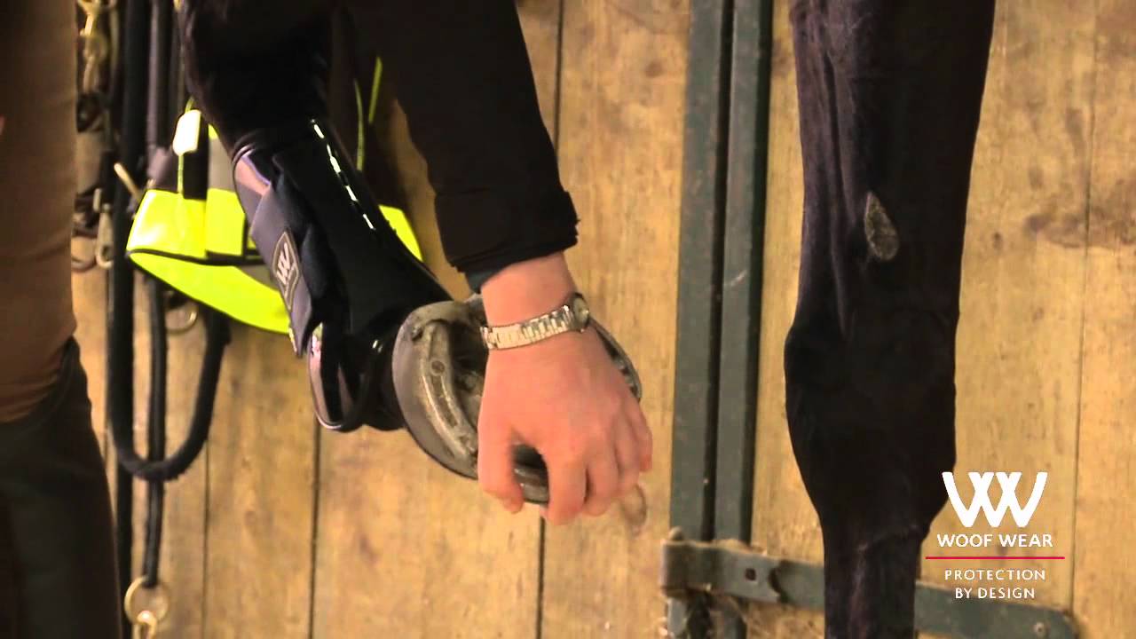 Woof Wear Smart Tendon Boot