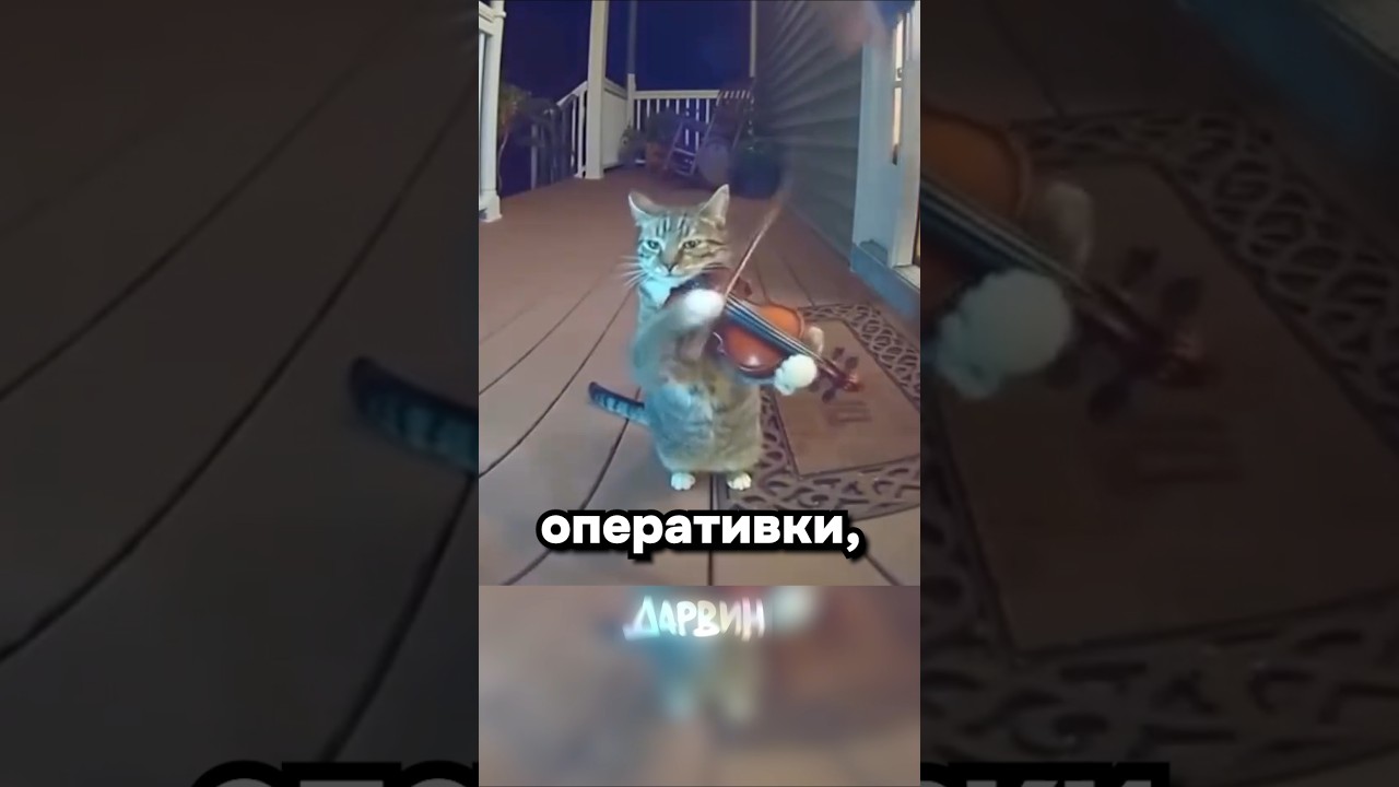 Ради этого изобрели нейронки