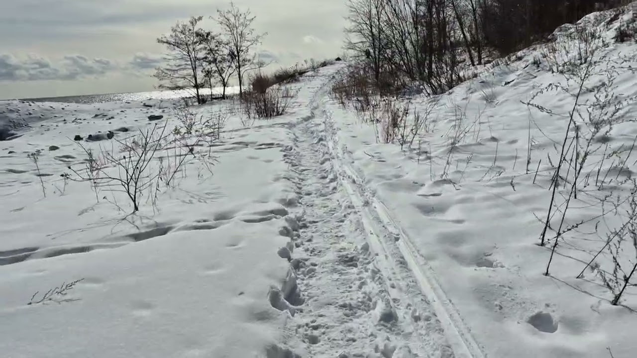 Guildwood Park down Hill part 2