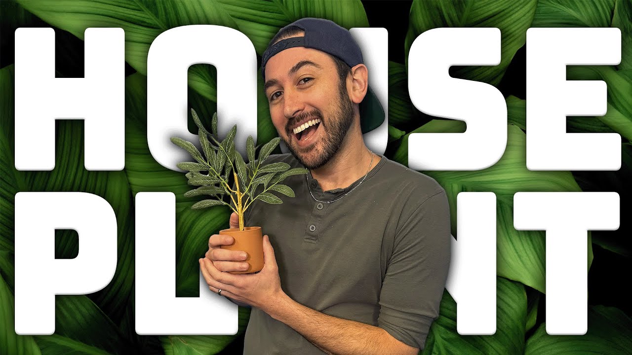 House Plant (Arizona Zervas Parody) | Young Jeffrey's Song of the Week