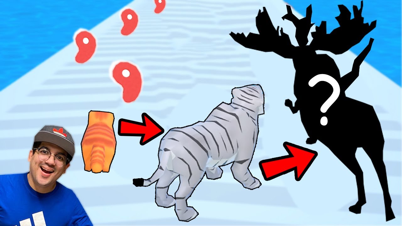 O PEQUENO GATINHO SE ALIMENTOU TANTO QUE CHEGOU NA EVOLUÇÃO MÁXIMA!!!
