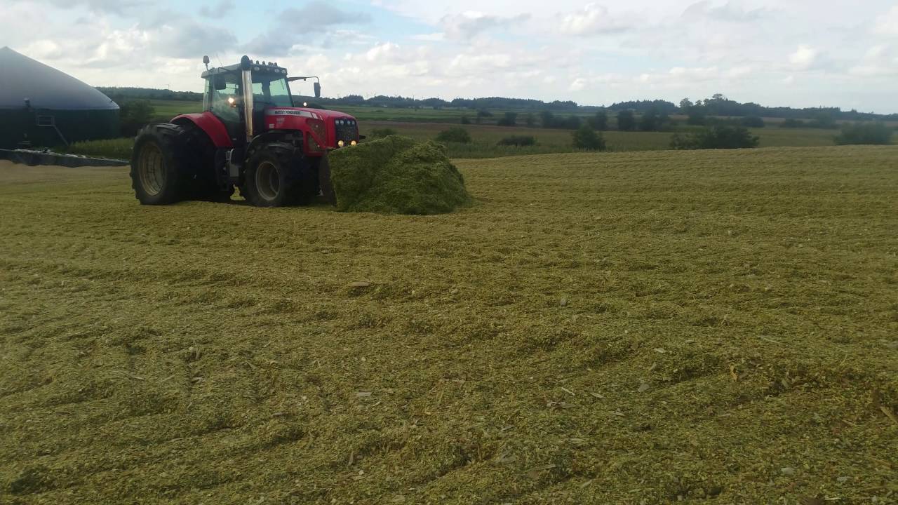 **Pushing silage with MF 8480 330Hp**MaisSchieben mit Massey Fersguson 8480** Motor Sound