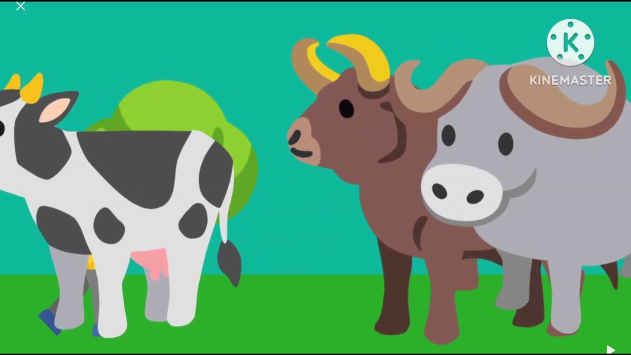 NEW animal size comparison