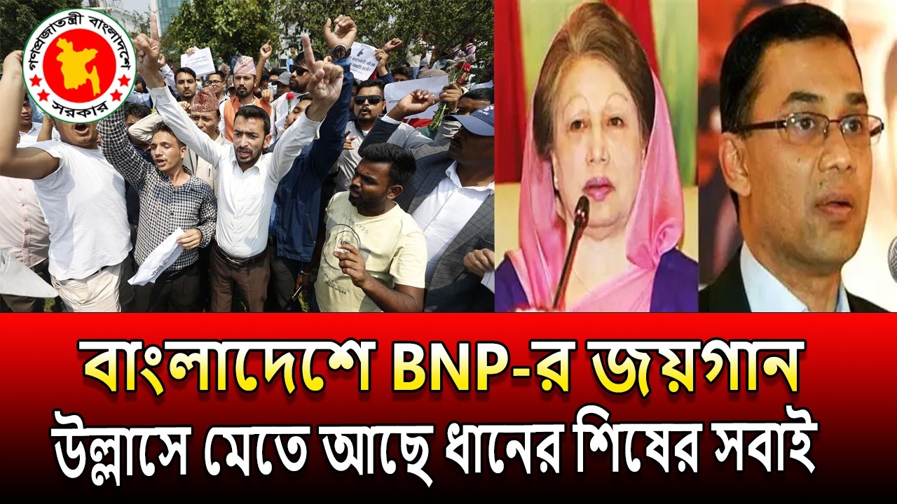 সারা বাংলাদেশে জুড়ে BNP র জয়গান । উল্লাসে মেতে আছে ধানের শিষের সবাই । Win BNP । voter result 2026