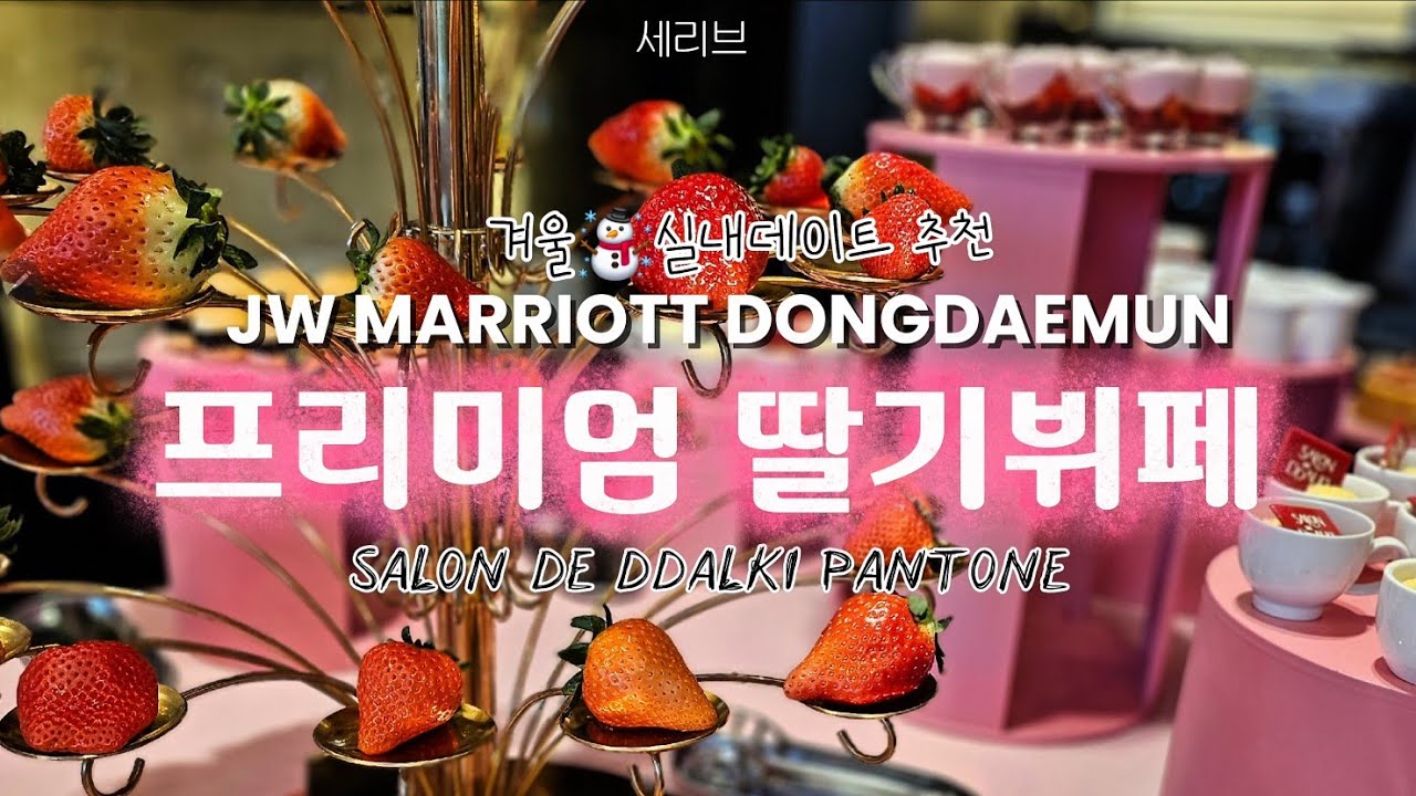 🍓딸기 퀄리티 실화?!JW Marriott Dongdaemun Premium Strawberry Buffet (ENG Subtitles) 겨울 실내 데이트 스팟