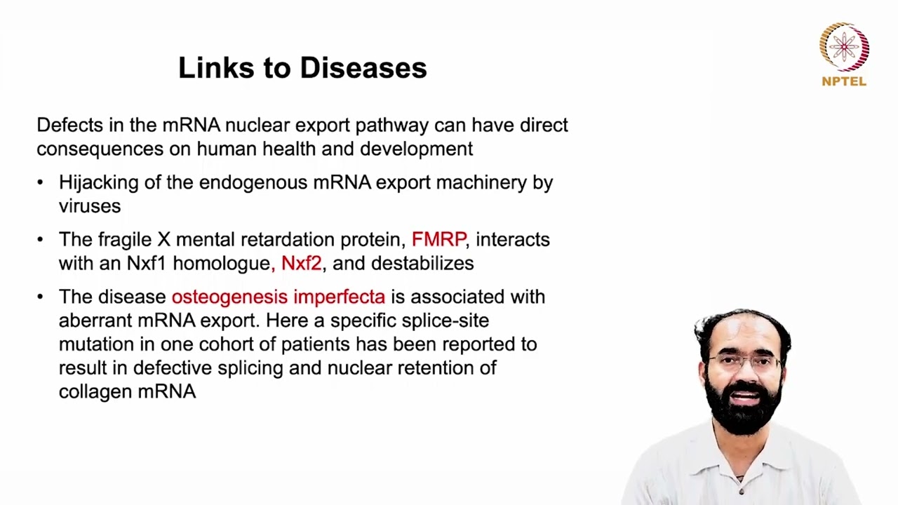 snRNA, rRNA, miRNA, siRNA Processing, Export and Function_ RNA Quality Control#swayamprabha