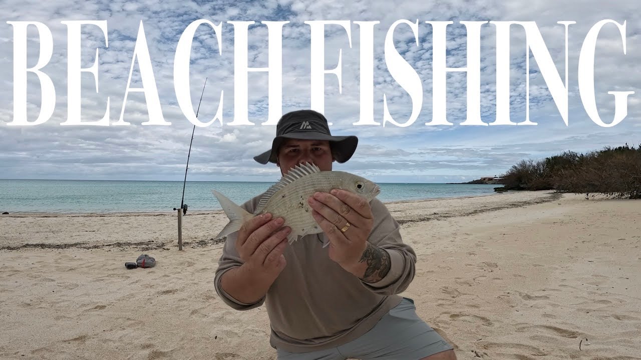 Catching Lunch | A Relaxing morning of beach fishing in Bermuda (CATCH AND COOK)