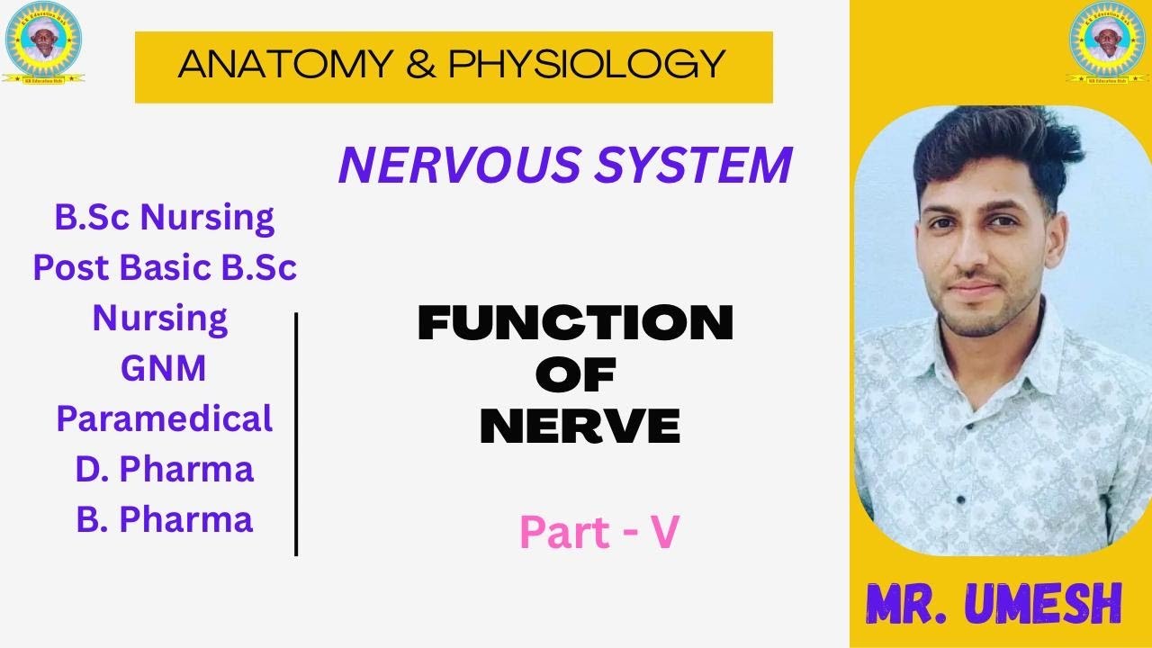 Function of Nerve / White matter / Gray matter /Function of neuron/ Mr.Umesh/ @ KREDUHUB