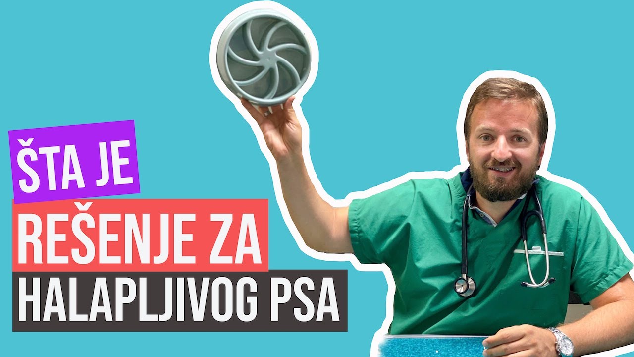 FamilyPet Store | Šta je rešenje za halapljivog psa?