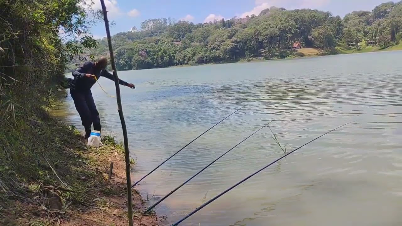 Nesse feriado: invasão de lancha,jetsky e rota de avião; peixe que é bom, nada. 