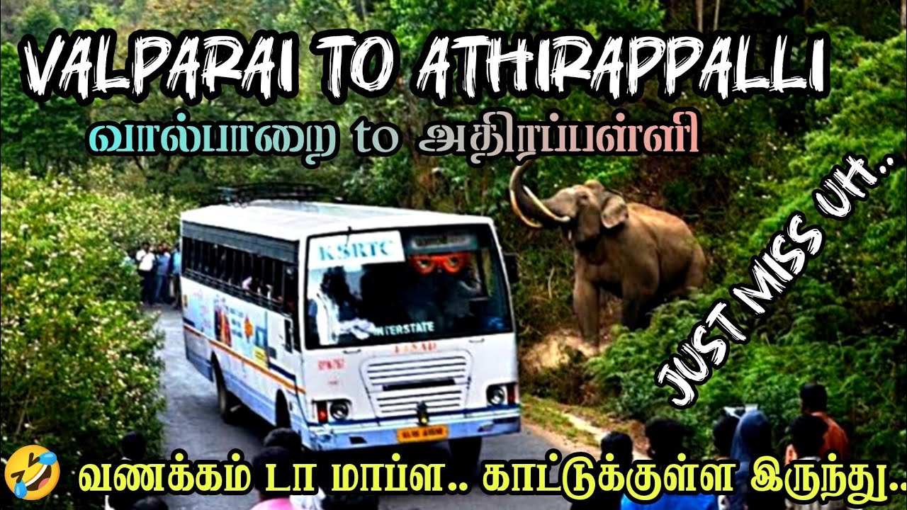 வால்பாறை to அதிரப்பள்ளி சிறப்பான சம்பவம் #kerala  #athirappilly #valparai #bus