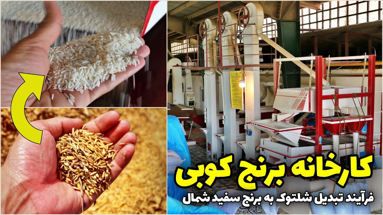 شالی‌کوبی یا برنجکوبی | فرآیند تبدیل شلتوک به برنج شمال
