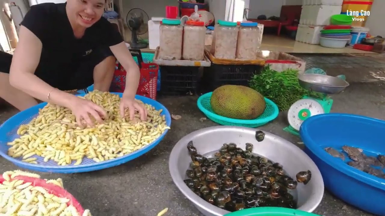 DÃY CHỢ SÂU BỌ ĐỘC NHẤT Ở MƯỜNG LÒ Nghĩa Lộ