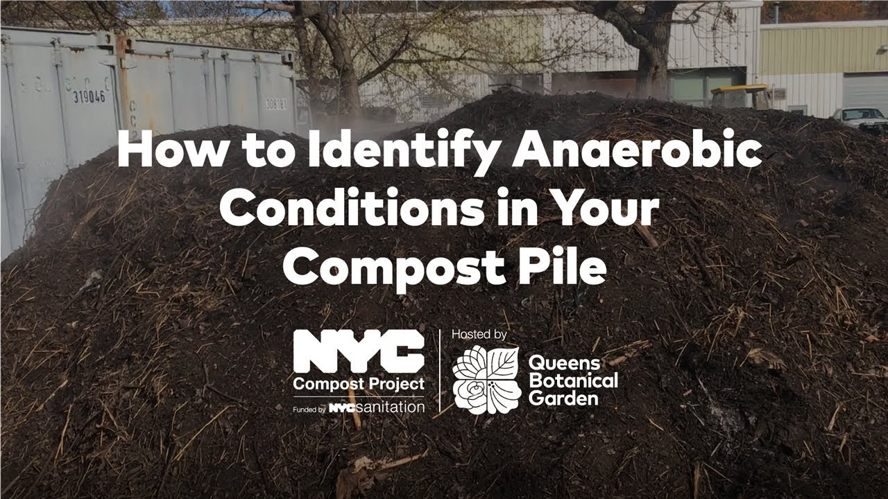 How to Identify Anaeroic Conditions in Your Compost Pile