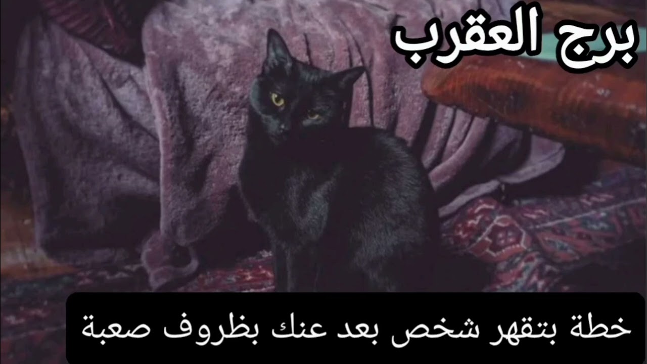 برج العقرب ♏ ابريل خطة لتقهر شخص بعد عنك بظروف غامضة