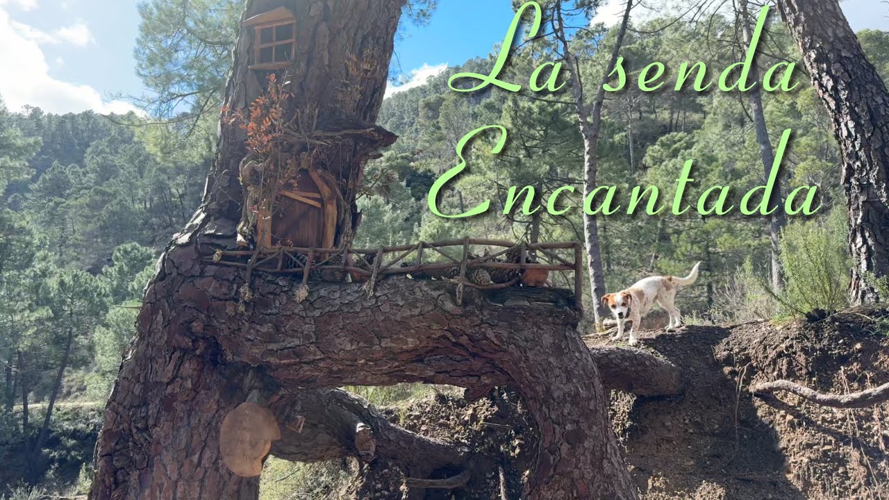 La senda ENCANTADA (Villaverde de Guadalimar)