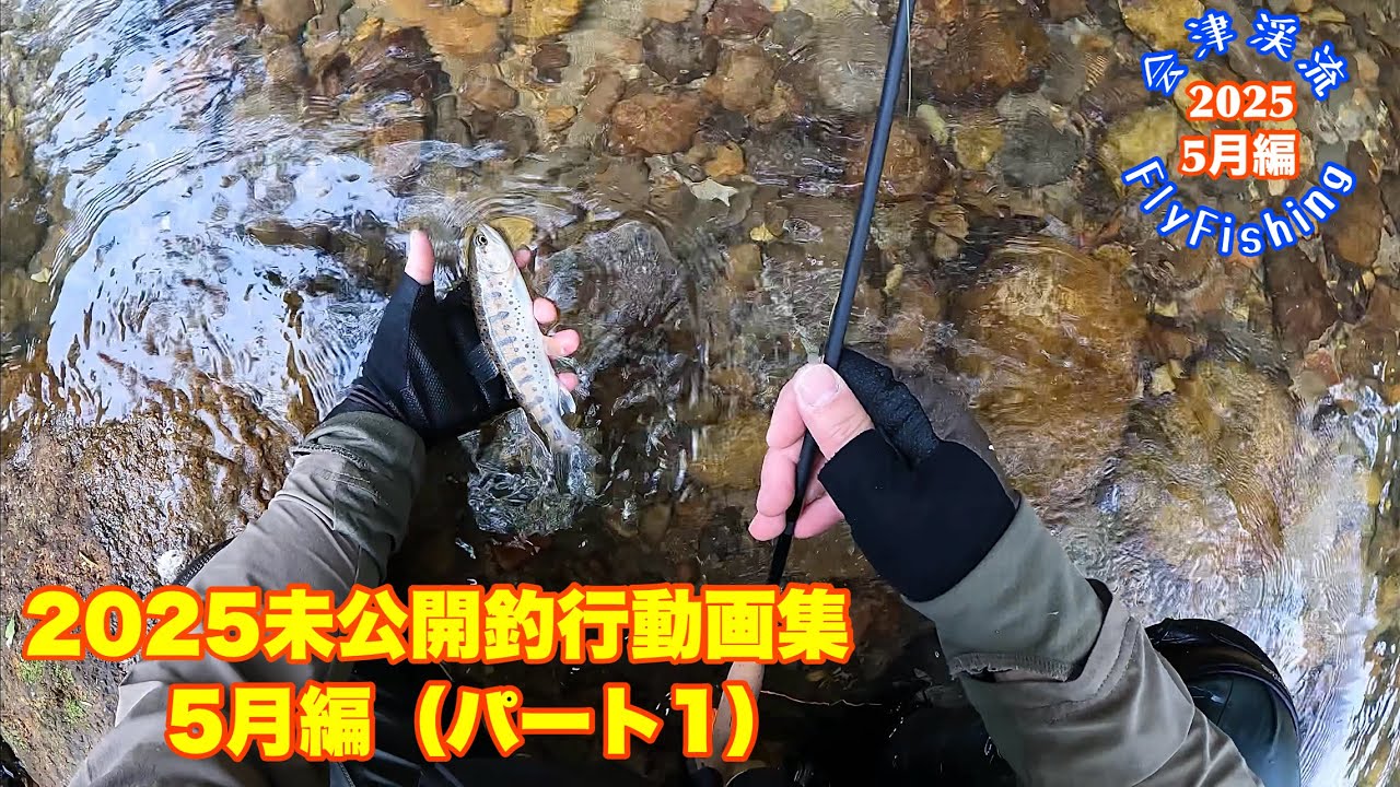 【会津渓流FlyFishing】2025未公開釣行動画集　5月編（パート1）
