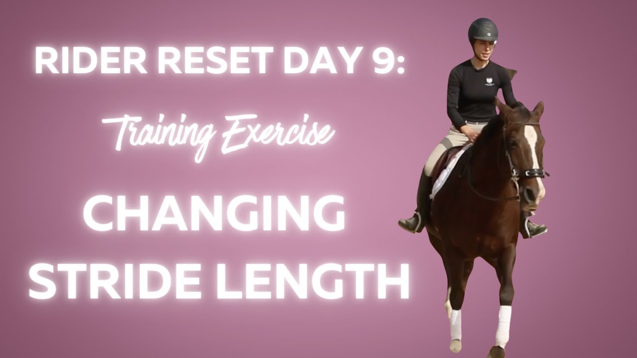 Day 9: Changing Stride Length