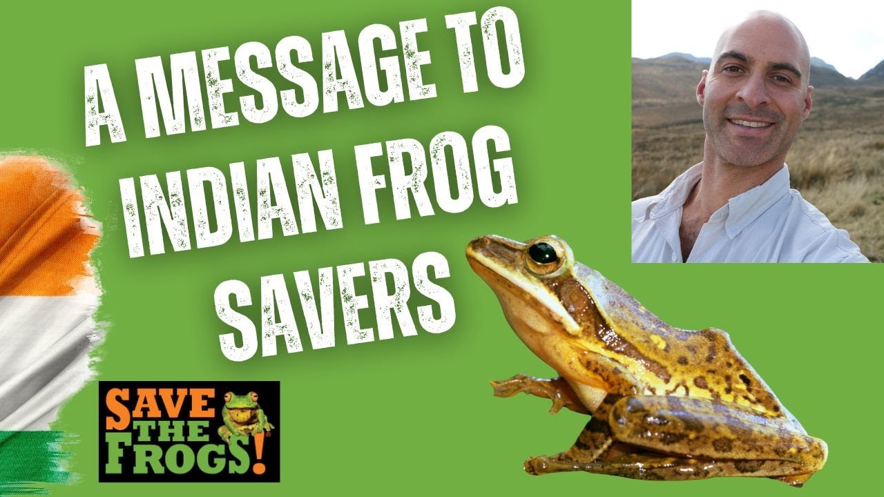 Save The Frogs Day 2025 - Message for India from Dr. Kerry Kriger