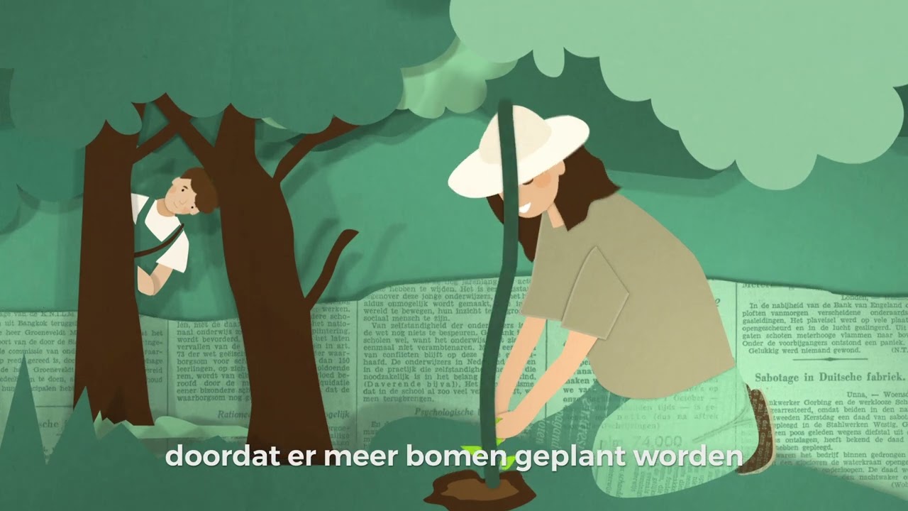 De wereld van papier & karton deel 1: recycling & duurzaamheid