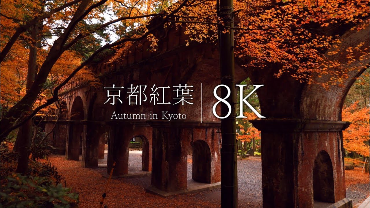 【京都の紅葉名所】南禅寺と水路閣を訪ねて - Kyoto in 8K