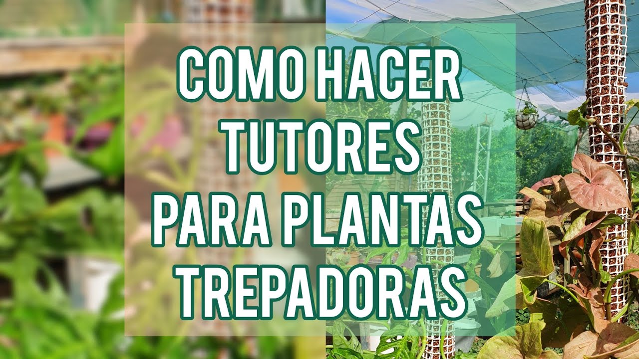 COMO HACER TUTORES PARA PLANTAS TREPADORAS / Jardín Suculento