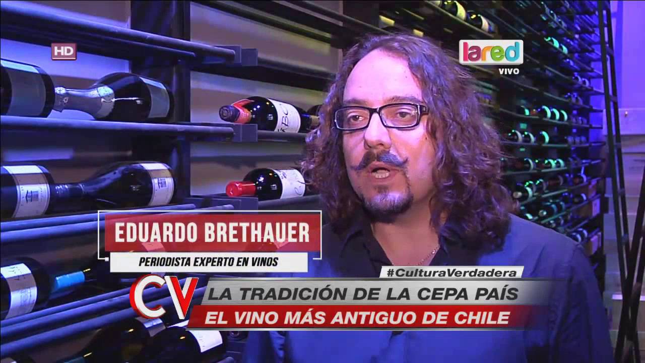 Cepa País: La historia de la cepa más antigua de Chile