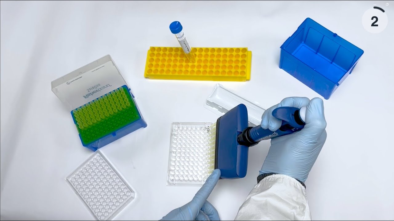 Tutorial: Micropatterning multiwell plates with PRIMO