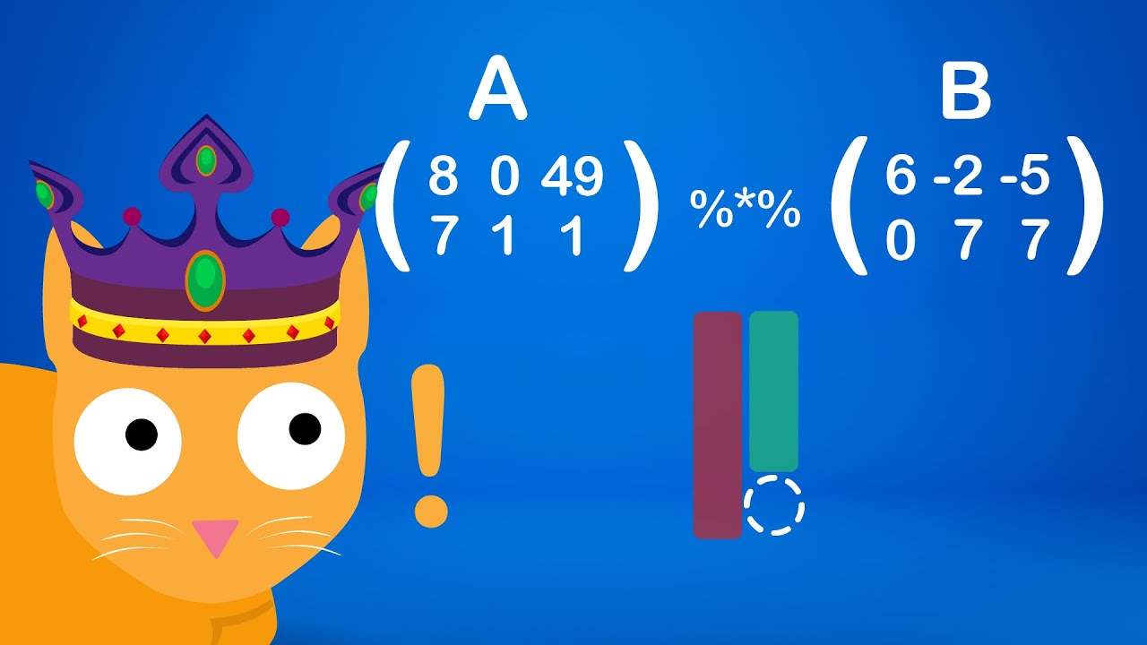 Les MATRICES expliquées à mon chat 🐈