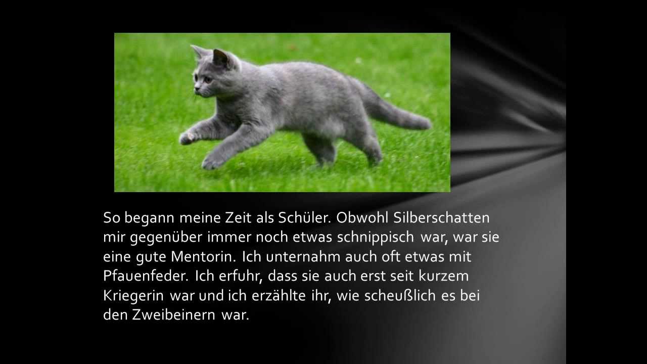 Warrior Cats - WolkenClan - *Tupfenkralles Geschichte*
