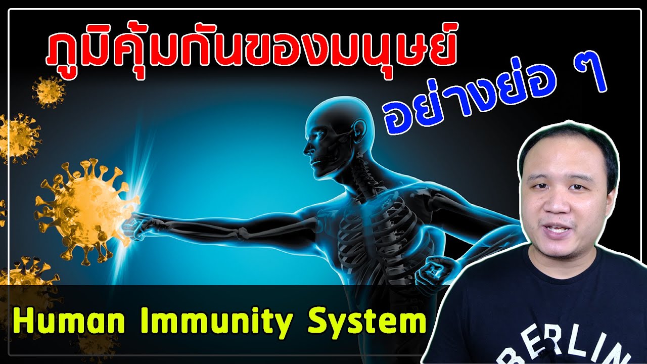 ระบบภูมิคุ้มกันของมนุษย์ เอาแบบย่อ ๆ
