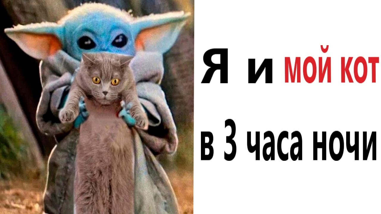 Приколы! Я И МОЙ КОТ В 3 ЧАСА НОЧИ - МЕМЫ!!! Смешные видео от – Доми шоу!