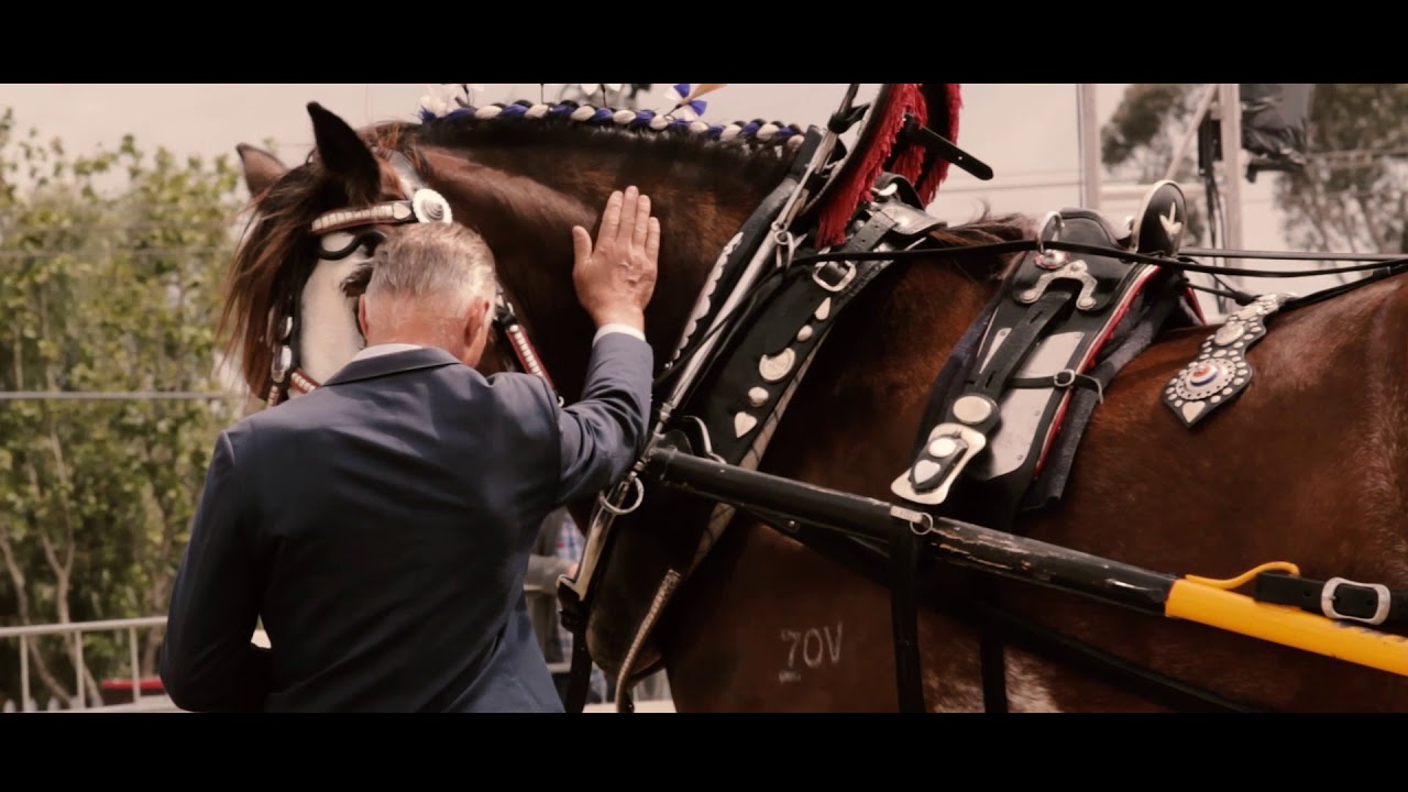 Australian Carriage Driving Society