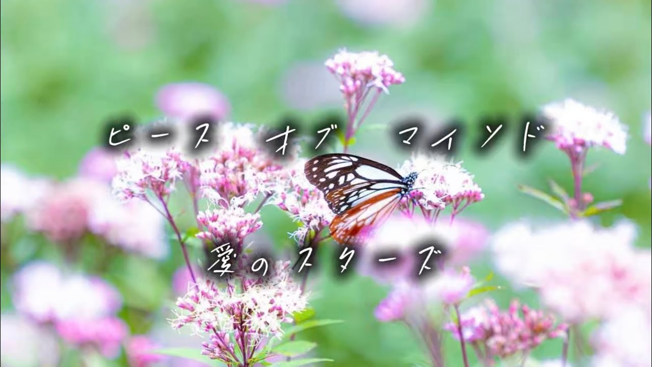 ピース　オブ　マインド/愛のスターズ　(ギター🎸カバー　タグロー)