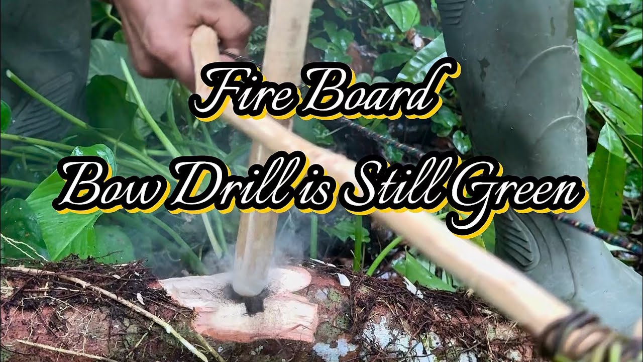 Fire board bow drill is still green