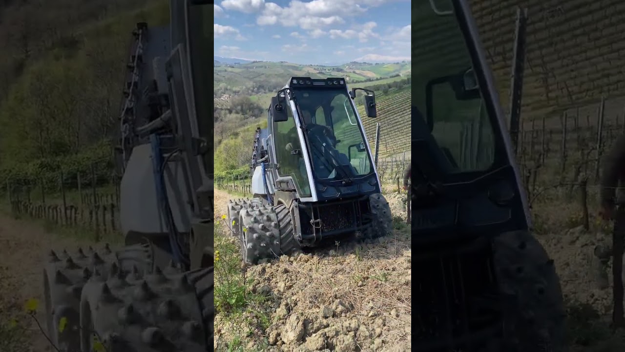 Special Vineyard Spraying Machine 🍇🚜  @moretgiancarlo