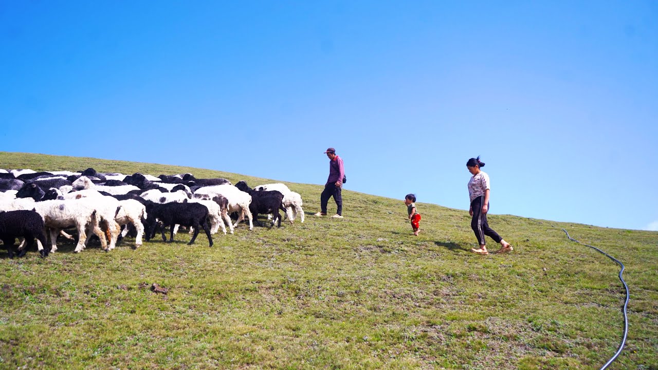 manjita's family on the top Hill || manjita cooks lunch @manjitacooking